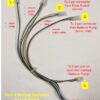 labelled wiring harness 1